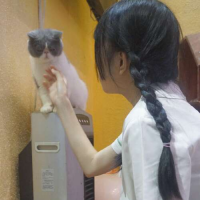  葭蓬