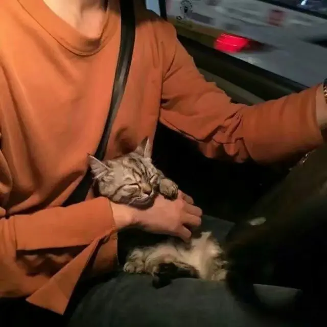  赤壁风流