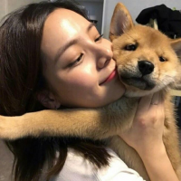  经典收藏